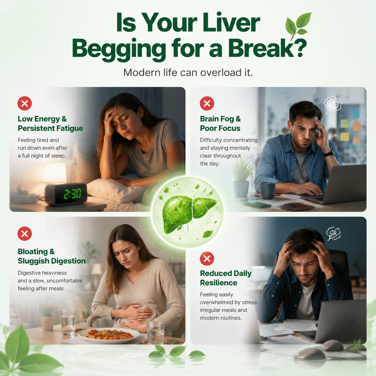 🌙 Liver Support Patch — Detox Your Liver While You Sleep-Q1