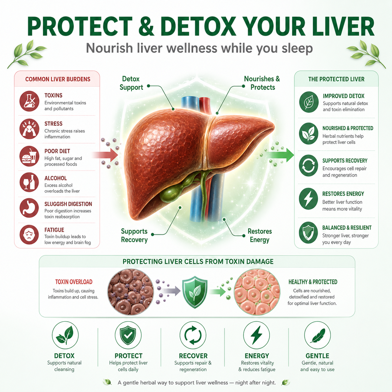 🌙 Liver Support Patch — Detox Your Liver While You Sleep-Q1
