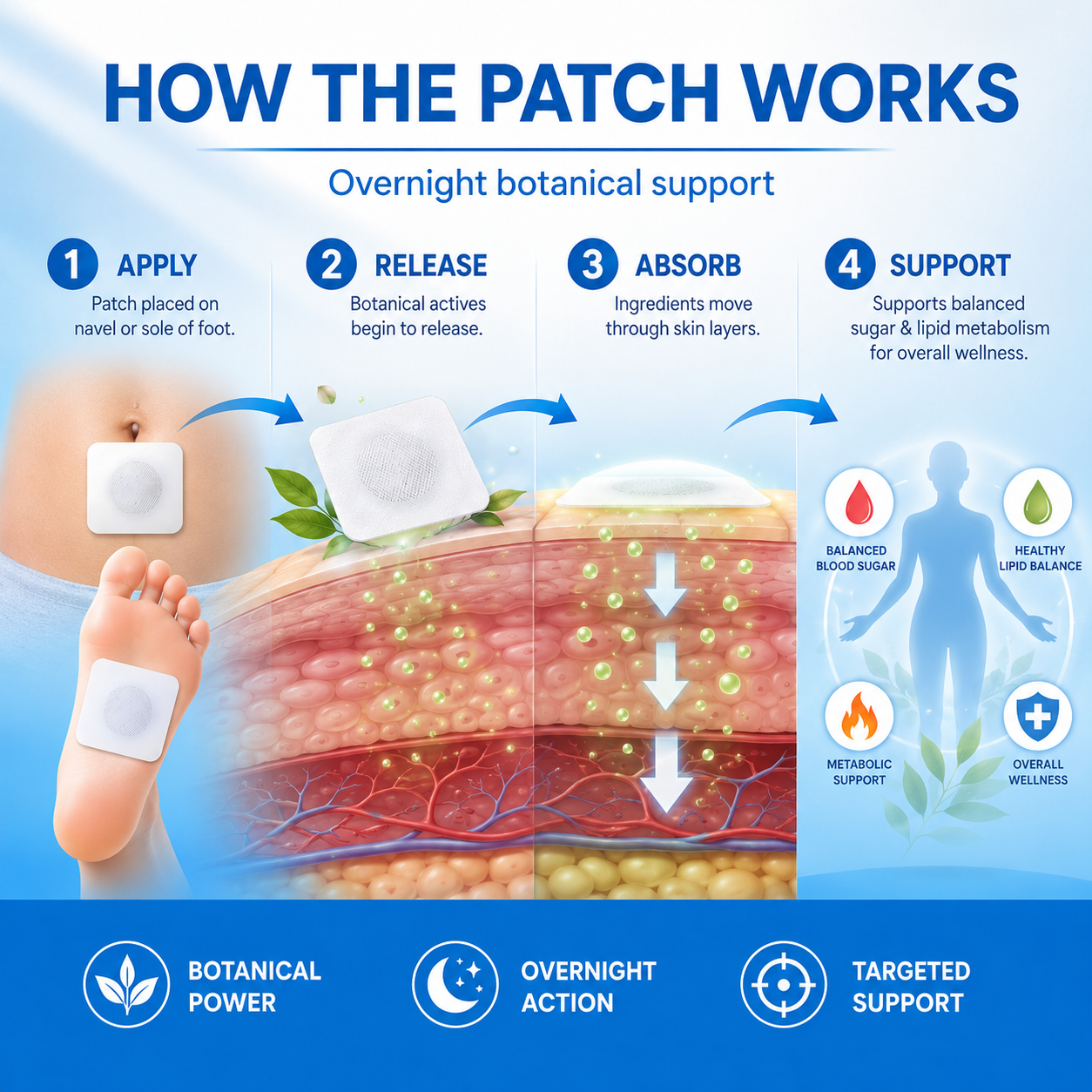 🌿 Dual-Action Sugar & Lipid Balance Patch — Balance Sugar. Support Lipids. Reclaim Your Energy.-Zuckerberg